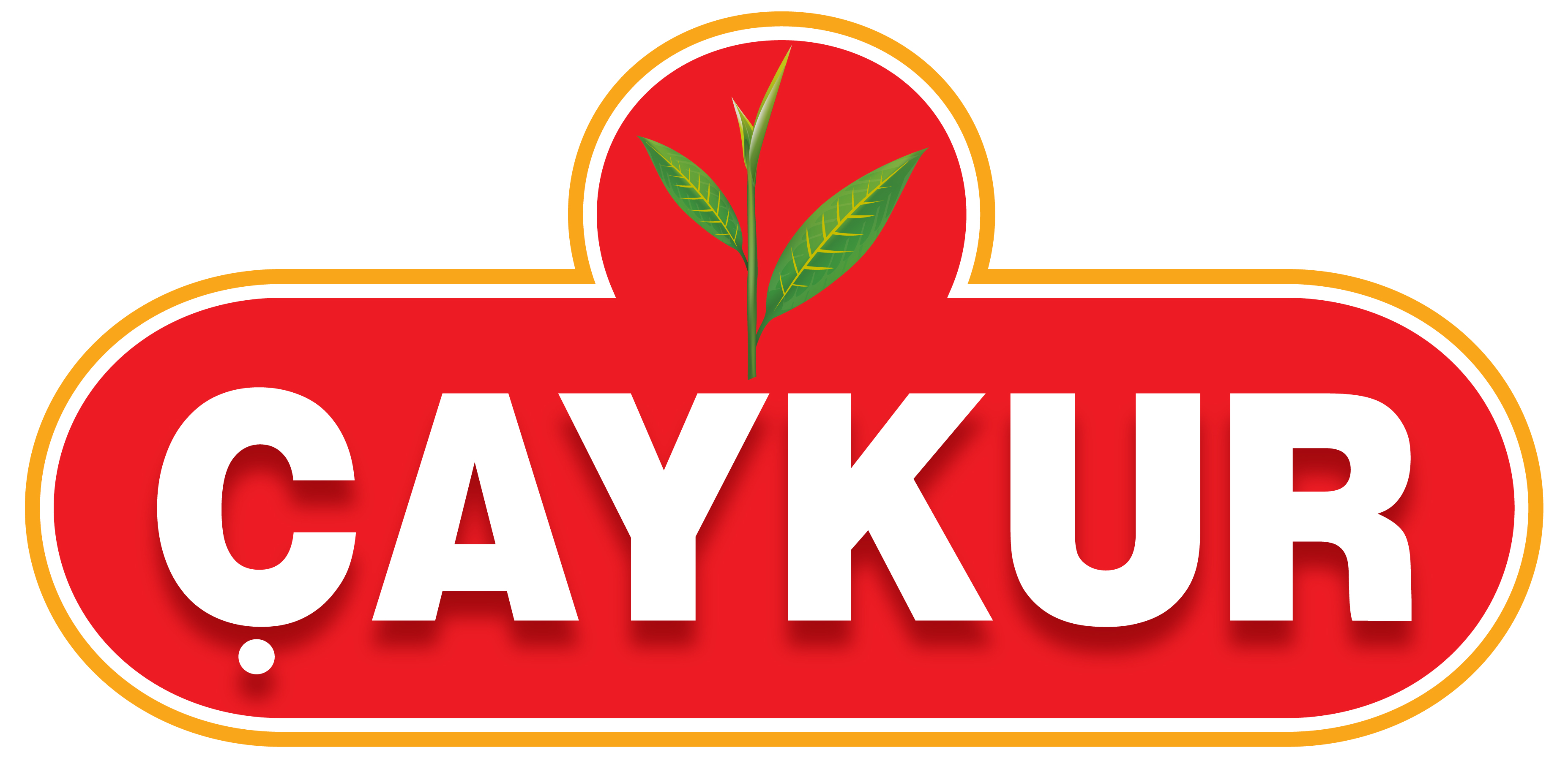 Çaykur